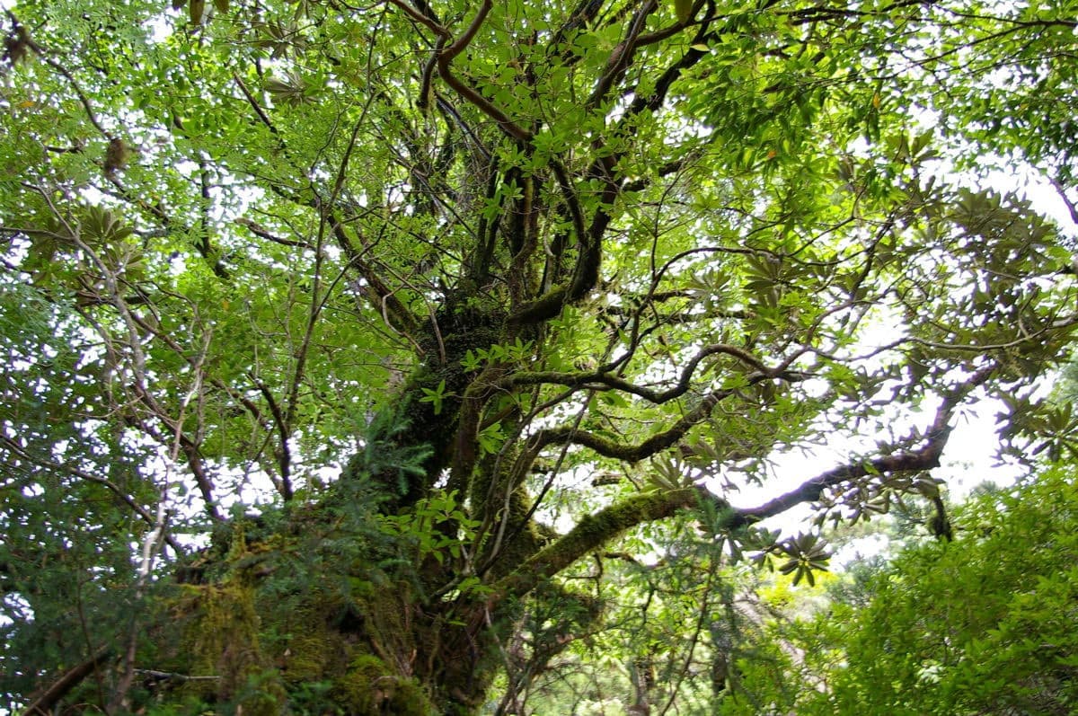 株式会社トキワ電気商会